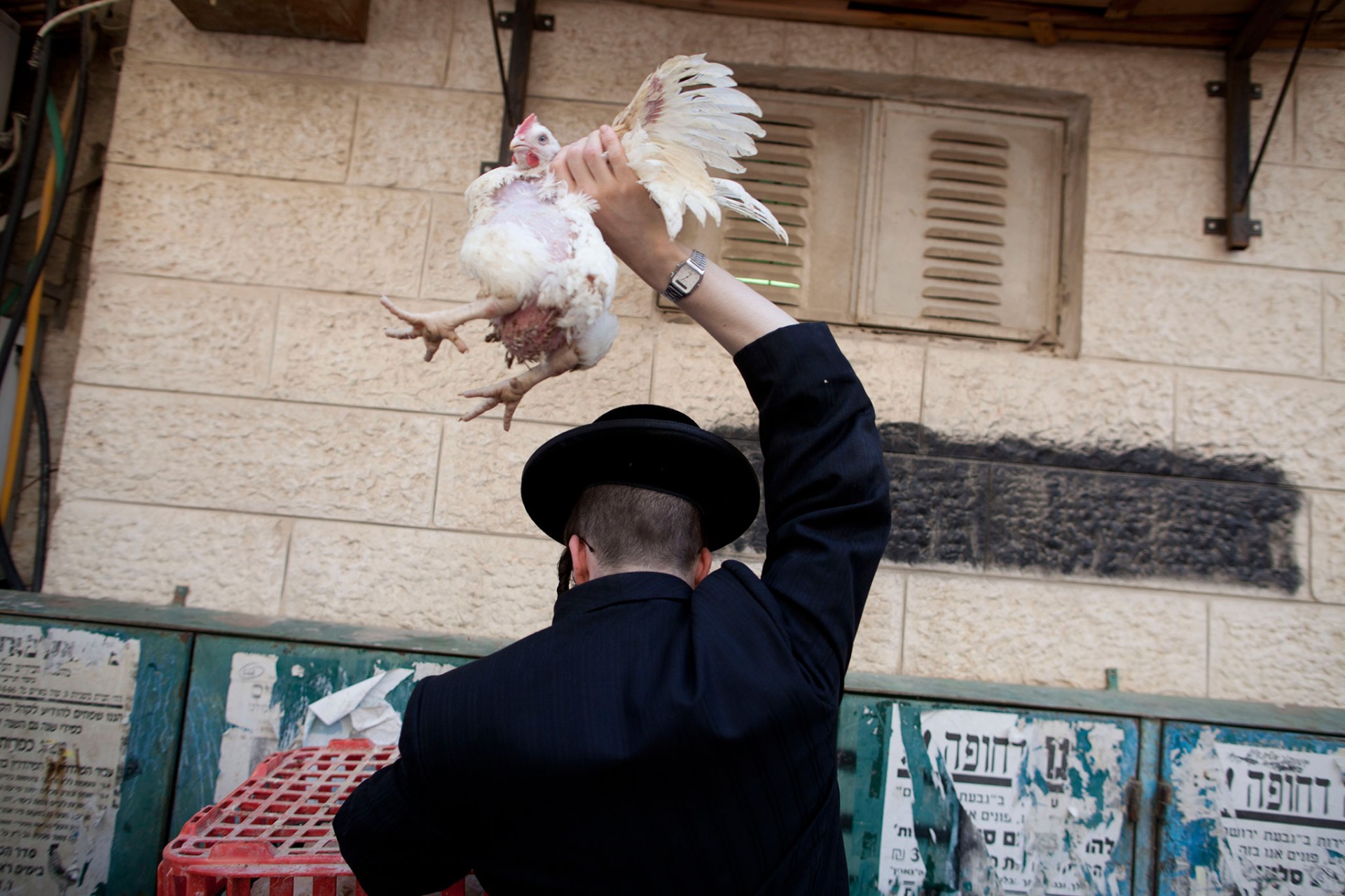 eligious Jews Conduct Kapparot Ceremony Ahead Of Yom Kippur
